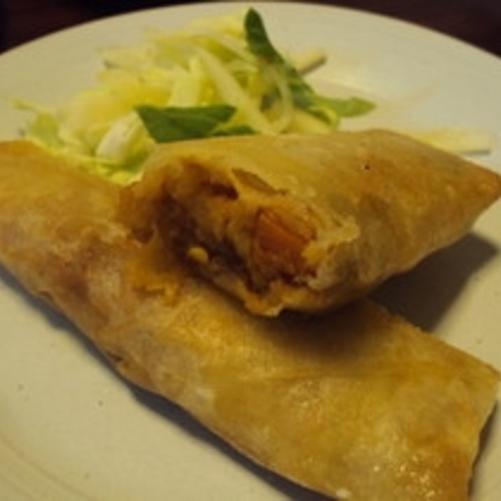 カレーの残りを簡単アレンジ!カレー春巻き